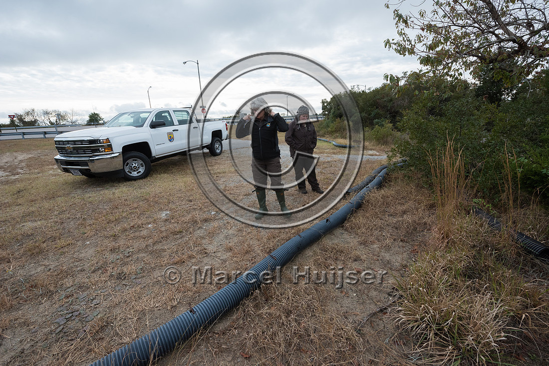 Plastic corrugated pipe designed as a barrier to keep Northern d