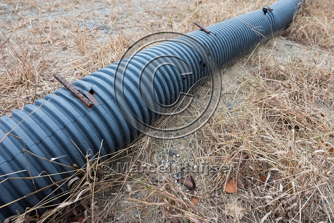 Plastic corrugated pipe designed as a barrier to keep Northern d