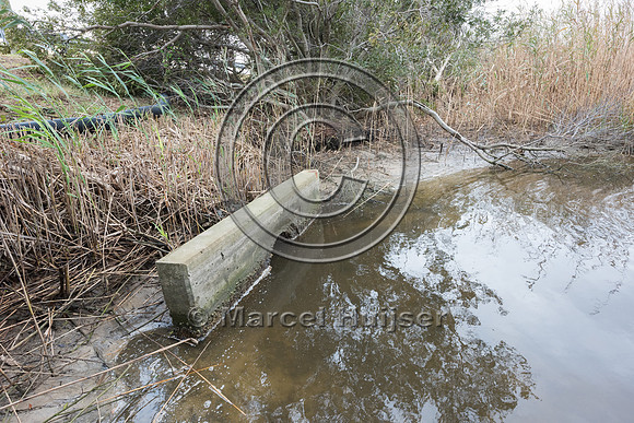 Culvert under highway that may or may not be used by Northern di