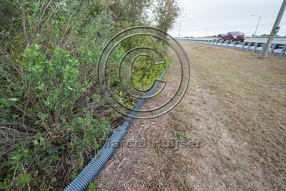 Plastic corrugated pipe designed as a barrier to keep Northern d