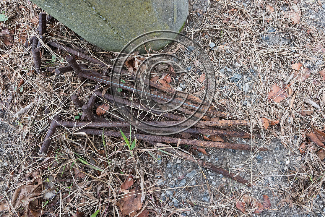 Rebar used to stake plastic corrugated pipe, Fisherman Island Na