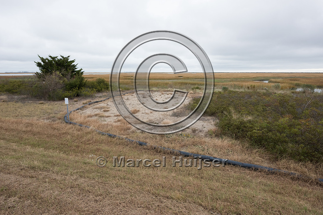 Plastic corrugated pipe designed as a barrier to keep Northern d