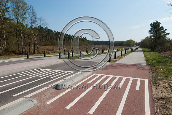 At grade crossing opportunity for large mammals at a gap in the