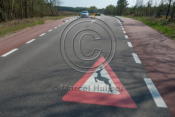 At grade crossing opportunity for large mammals at a gap in the