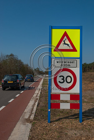 At grade crossing opportunity for large mammals at a gap in the