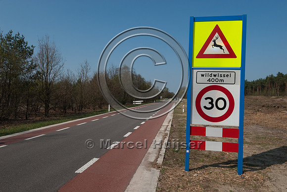 At grade crossing opportunity for large mammals at a gap in the