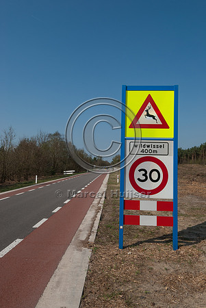 At grade crossing opportunity for large mammals at a gap in the