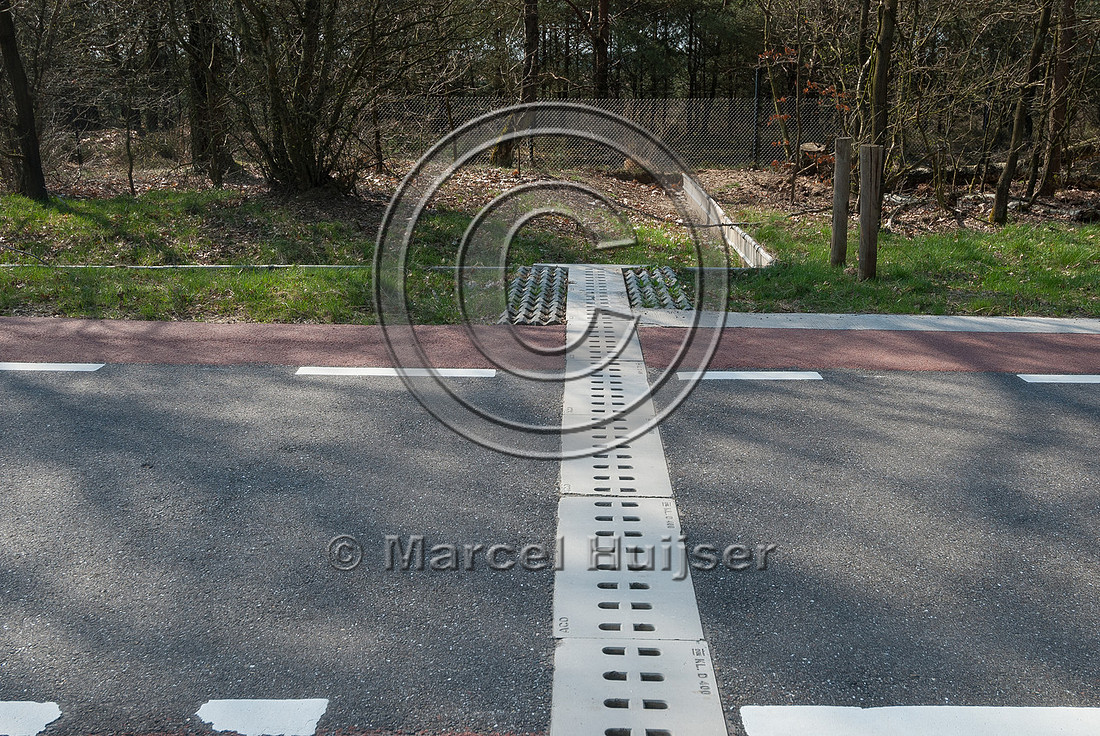 Amphibian tunnel with open slotted roof and barrier or wall for