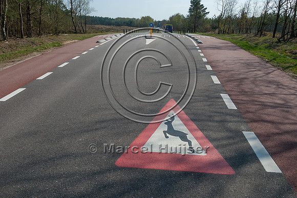 At grade crossing opportunity for large mammals at a gap in the