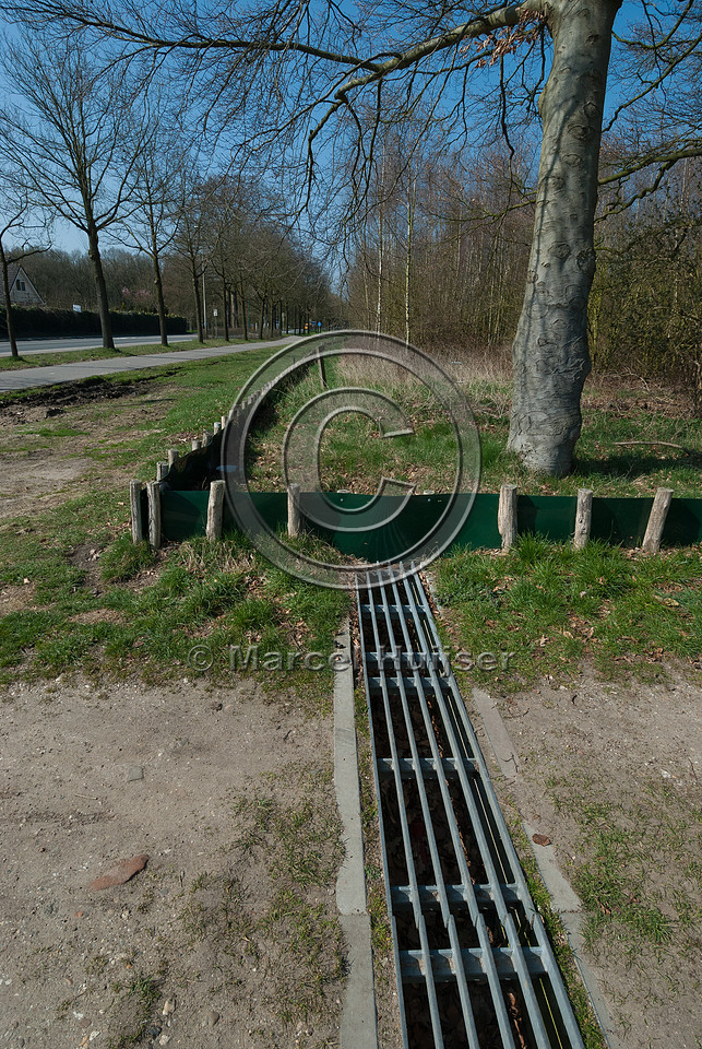 Common toad (Bufo bufo) screens and buckets and tunnel at access