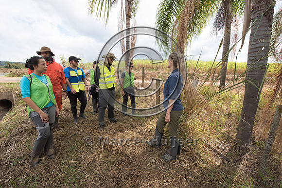 Students at road ecology field course, SP 225, near Brotas, Braz