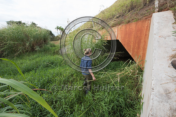 Students at road ecology field course, wildlife underpass and st
