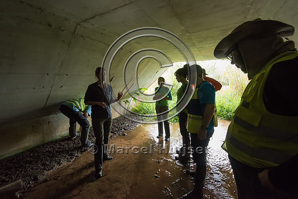 Students at road ecology field course, wildlife underpass and st