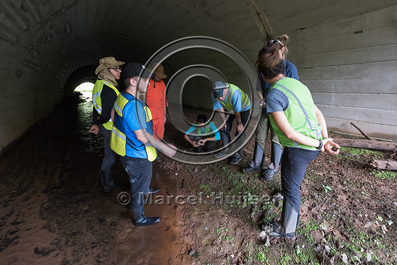 Students at road ecology field course, wildlife underpass and st