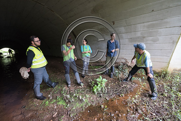 Students at road ecology field course, wildlife underpass and st