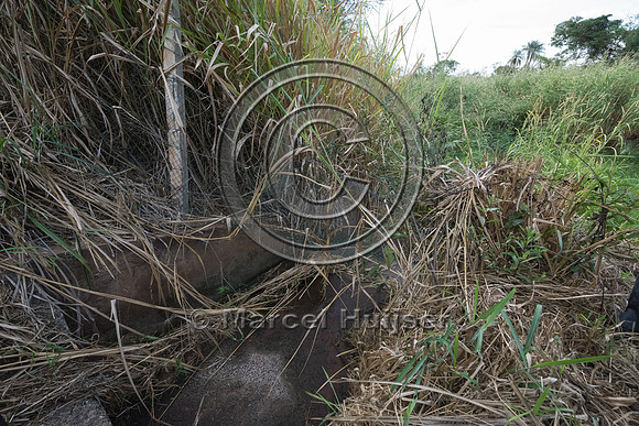 Gap in wildlife fence at concrete drainage structure, SP 225, ne