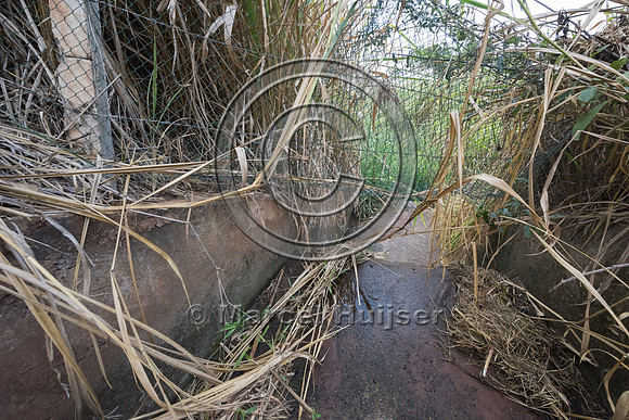 Gap in wildlife fence at concrete drainage structure, SP 225, ne