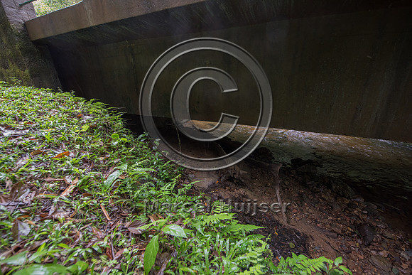 Bridge across stream, Brazil