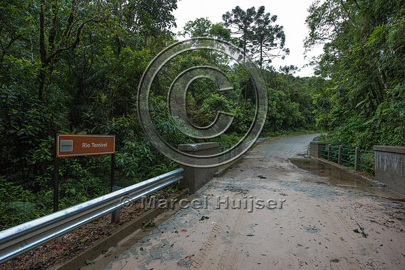 Bridge across stream, Brazil
