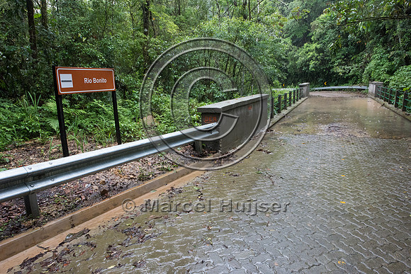 Bridge across stream, Brazil