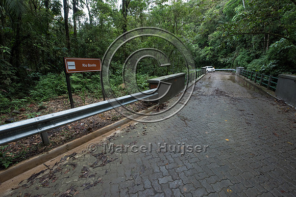 Bridge across stream, Brazil
