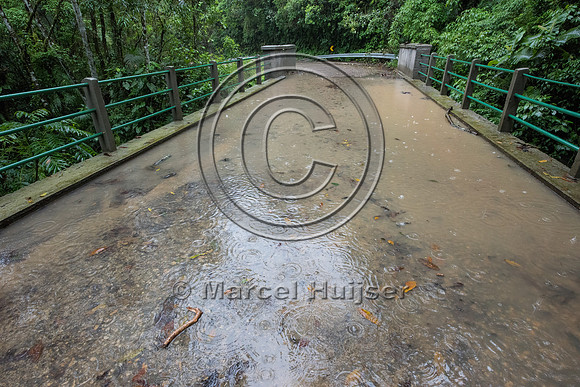 Standing water on  bridge with plugged drains, Brazil
