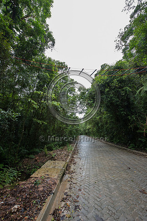 Canopy crossing, Brazil