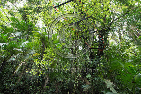 Canopy crossing, Brazil