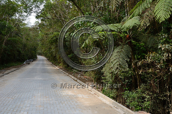 Road through Parque Estadual 'Carlos Botelho' under reconstruction