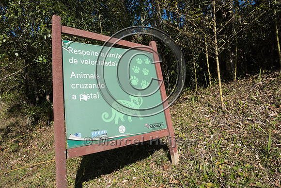 Sign, respect the maximum posted speed limit, animals cross the