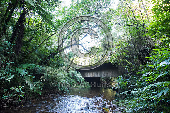 Bridge over stream, Carlos Botelho State Park, São Paulo, Brazi