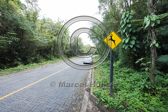 Wildlife warning sign, deer, crossing, Carlos Botelho State Park
