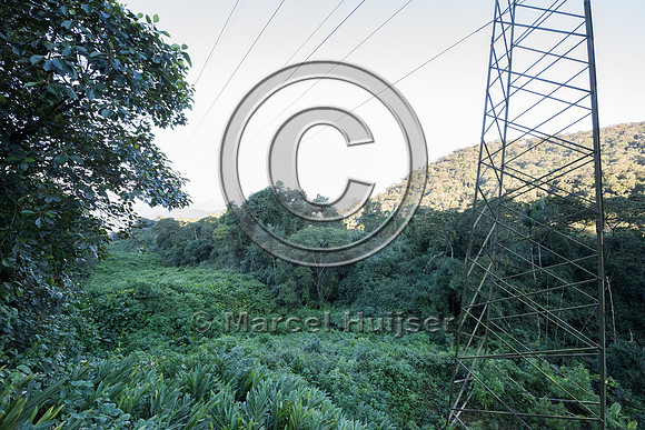 Powerline corridor, Carlos Botelho State Park, São Paulo, Brazi