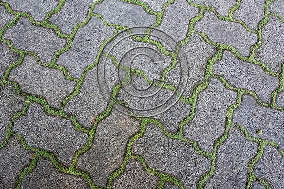 Pavers allow water to flow into soil rather than down the road,