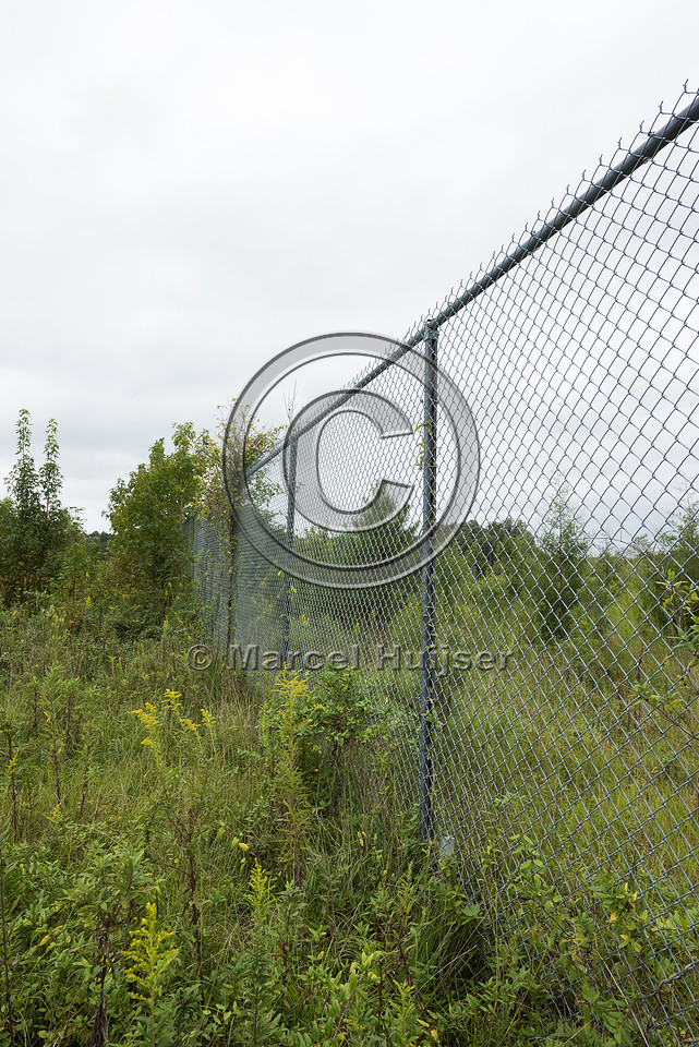 Wildlife fence for black bear (Ursus americanus), 3 m high (10 f