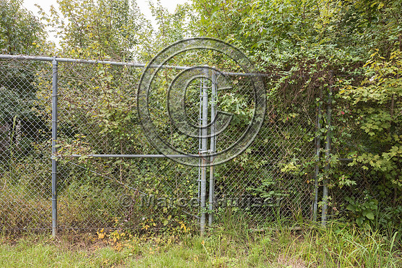 Gate for human access in wildlife fence for black bear (Ursus am