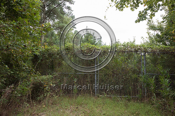 Gate for human access in wildlife fence for black bear (Ursus am