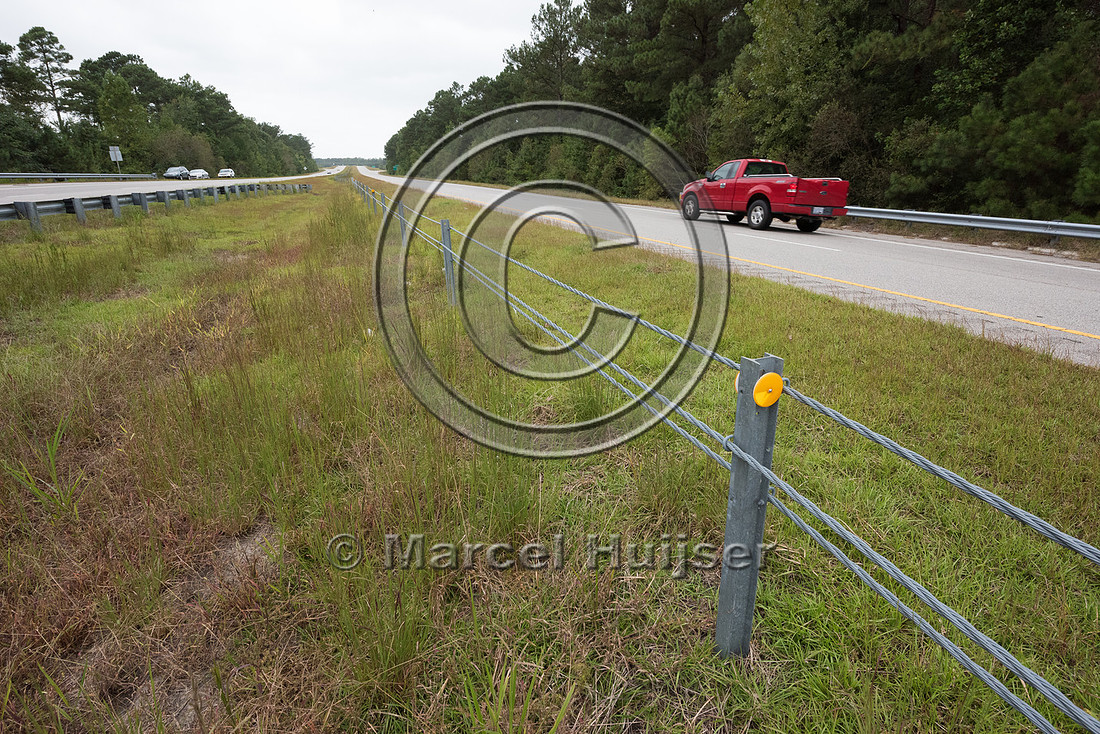 Cable barrier, US Hwy 64, near Roper, North Carolina, USA