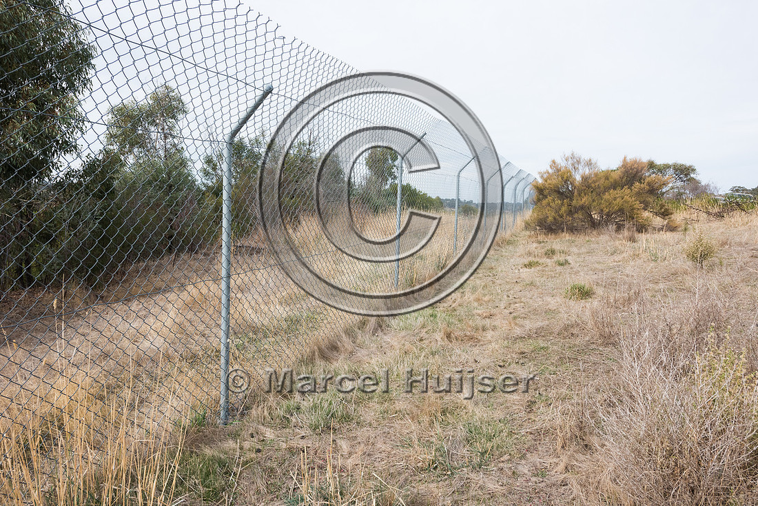 Fence designed to keep koala  (Phascolarctos cinereus) off the h