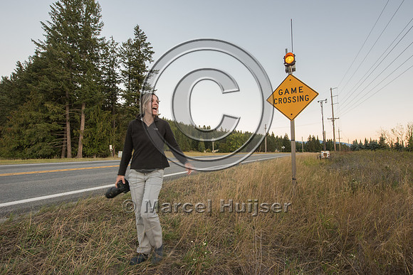 Fernanda Abra at animal detection system, north of Bonners Ferry