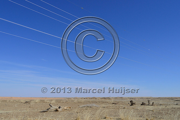 _DSC7743 Power lines with markers for birds to reduce bird strikes, between Hanbogd and Oyu Tolgoi, near Hanbogd, Ömnögovi, Mongolia