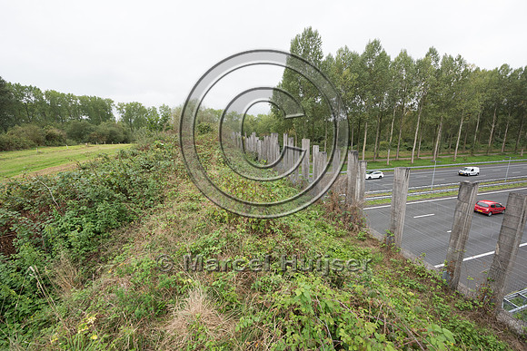 Wildlife overpass "Groene Woud" across A2 motorway, The Netherla