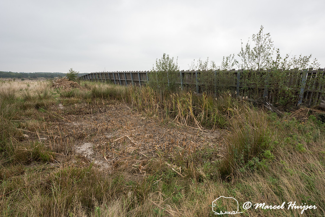 Pool for amphibians on top of wildlife overpass Groote Heide, ac