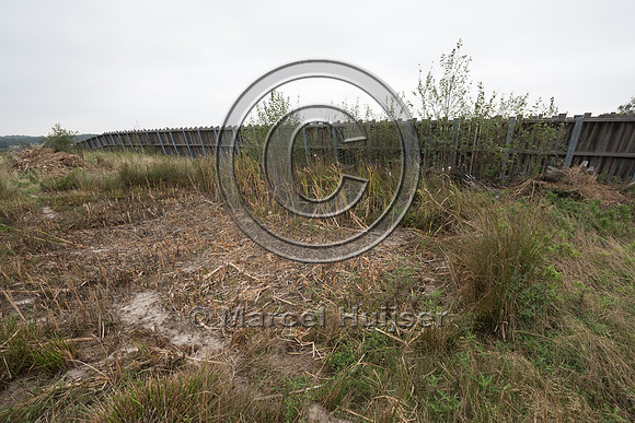 Pool for amphibians on top of wildlife overpass Groote Heide, ac