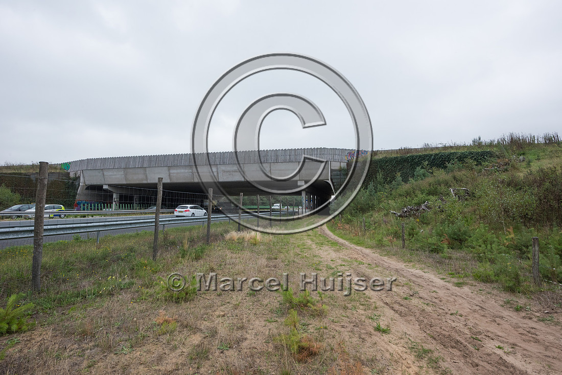 Wildlife overpass Groote Heide, across A2 motorway (about 50 m w