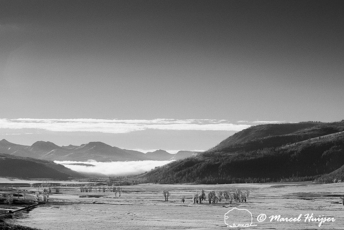 Lamar Valley in infrared, Yellowstone National Park, Wyoming, US