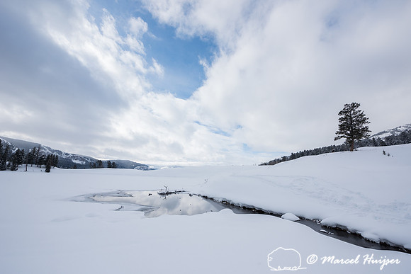 Trout Lake in winter, Yellowstone National Park, Wyoming, USA