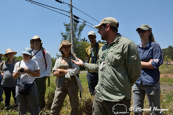 Paulo Ruffino from the Itirapina Ecological Research Station (Estação Ecológica de Itirapina) discusses human safety and wildlife concerns along the two lane road (Rod. Mun. Ayrton Senna) that bisects