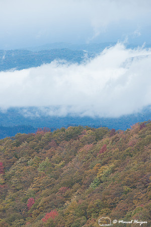 Fall colors and fog, Great Smoky Mountains, North Carolina, USA