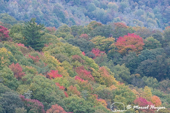 Fall colors and fog, Great Smoky Mountains, North Carolina, USA